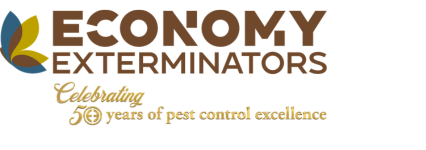 Email signature with 50th anniversary mark