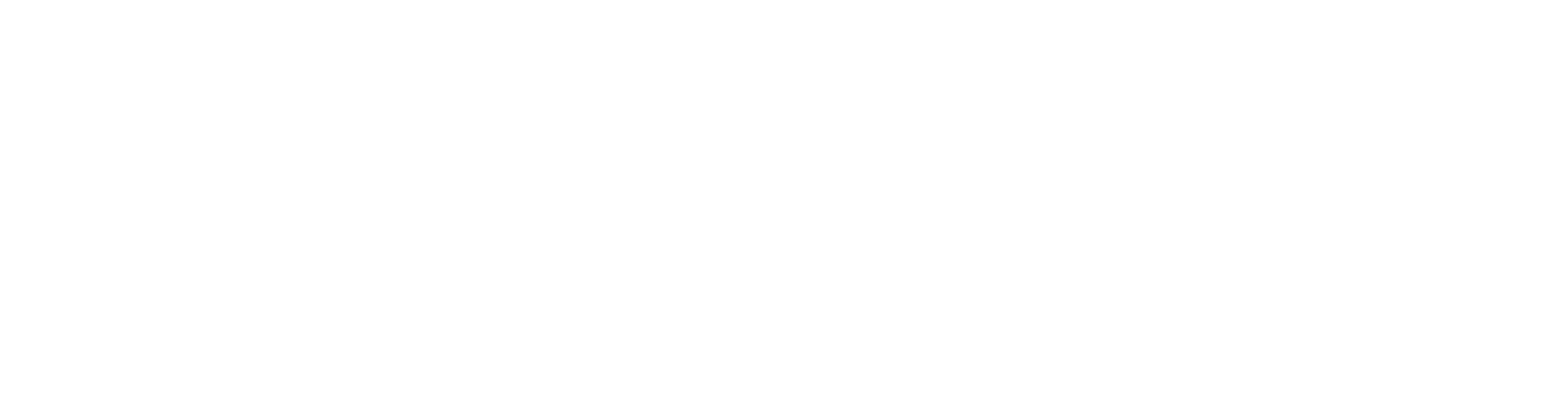 Horizontal white logo